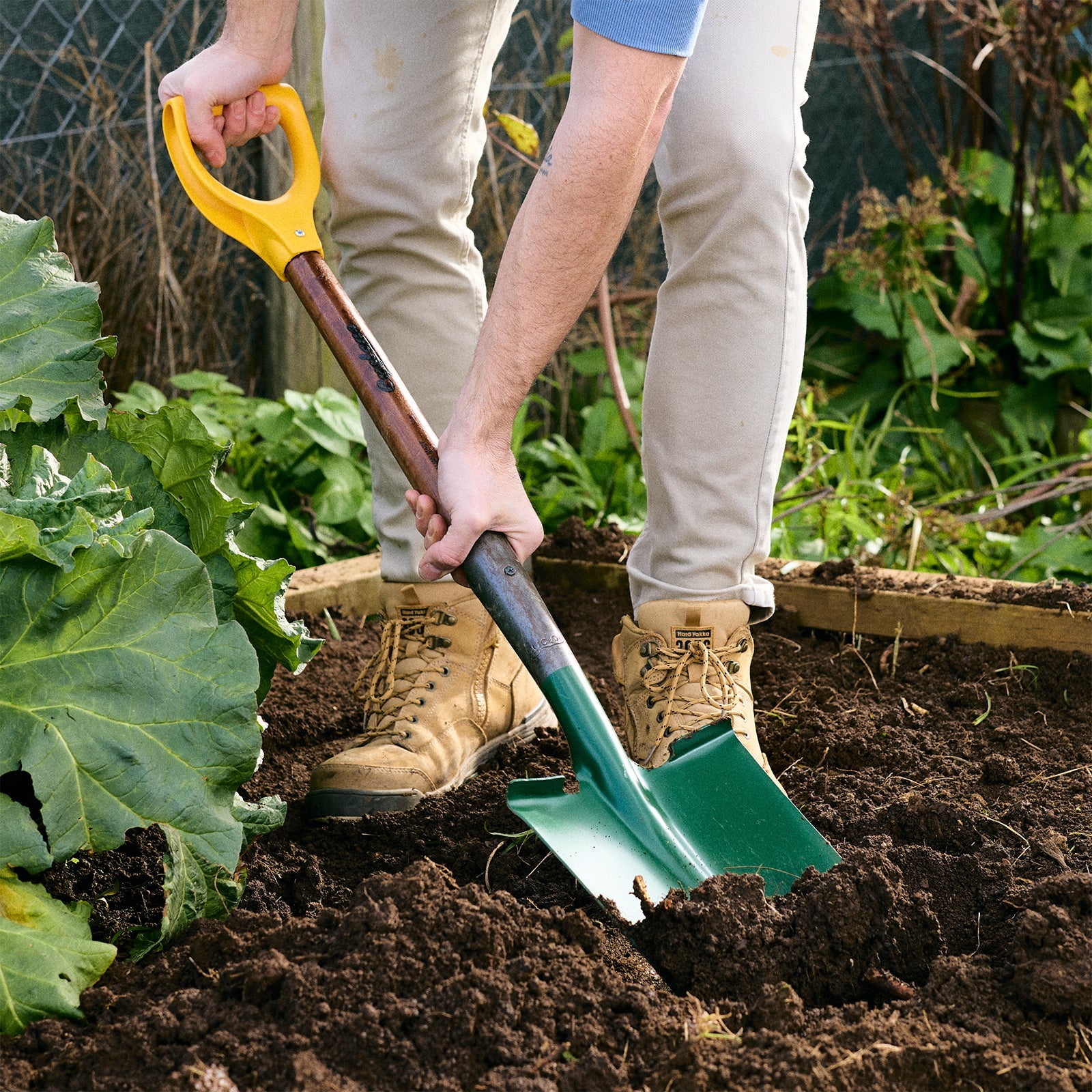 Person using a garden spade to dig soil in a backyard garden